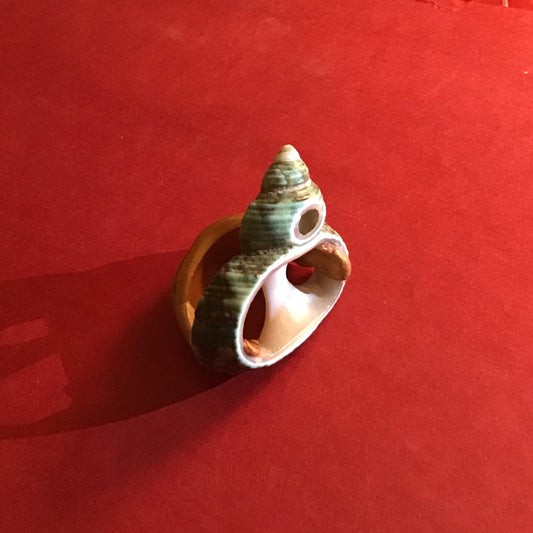 Gold Clay and Seashell Ring